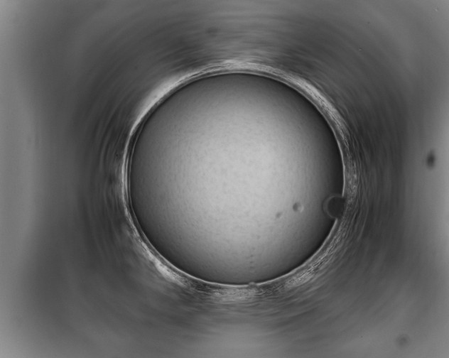 X0000100191294200806061249