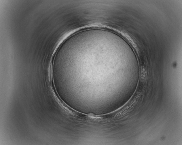 X0000100191295200806061249