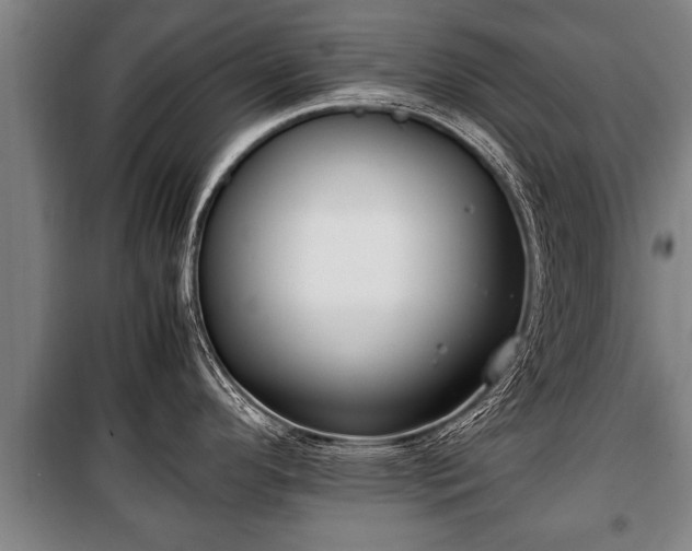 X0000100191296200806061249