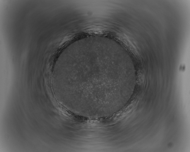 X0000100191297200806061249