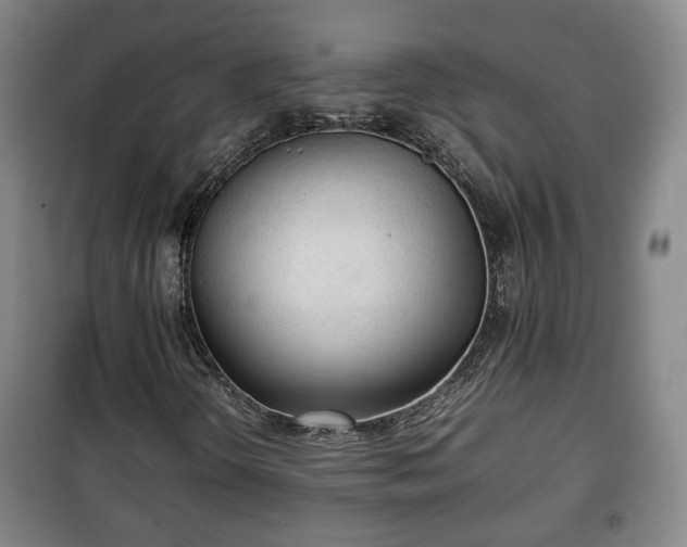 X0000100191298200806061249