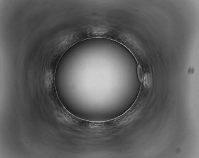 X0000100191299200806061249