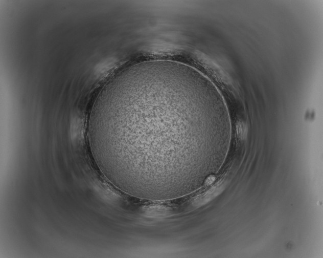 X0000100191300200806061249