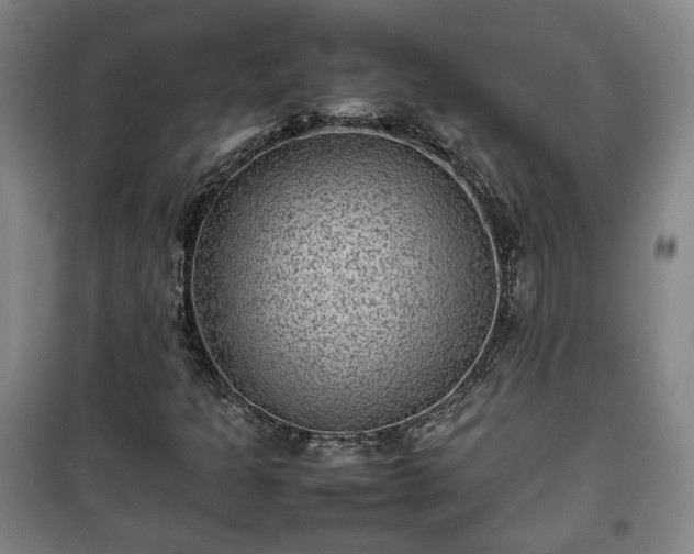 X0000100191301200806061249