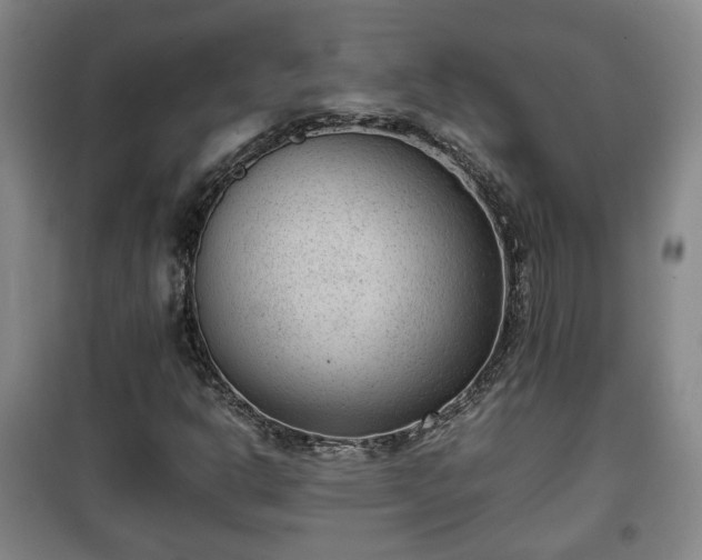 X0000100191302200806061249