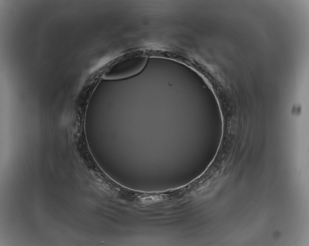 X0000100191303200806061249