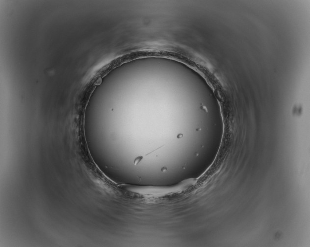 X0000100191304200806061249