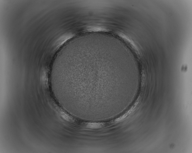 X0000100191305200806061249