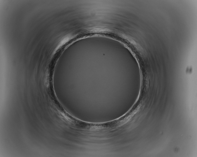 X0000100191306200806061249