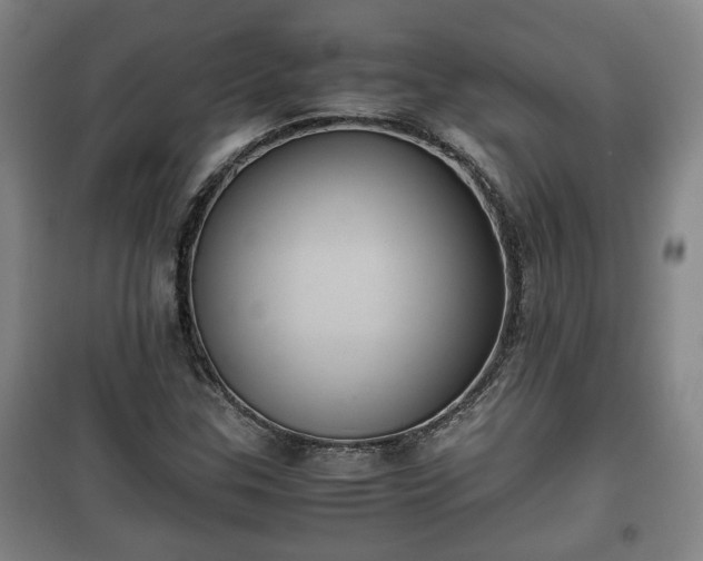 X0000100191307200806061249