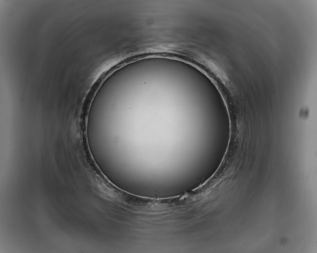 X0000100191308200806061249