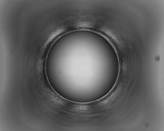 X0000100191309200806061249