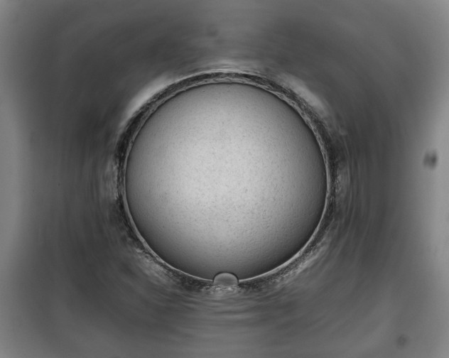 X0000100191310200806061249