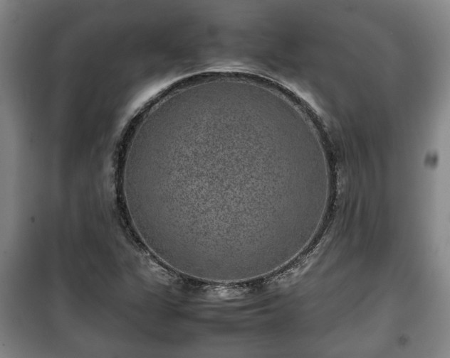 X0000100191311200806061249