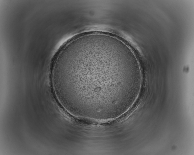 X0000100191312200806061249