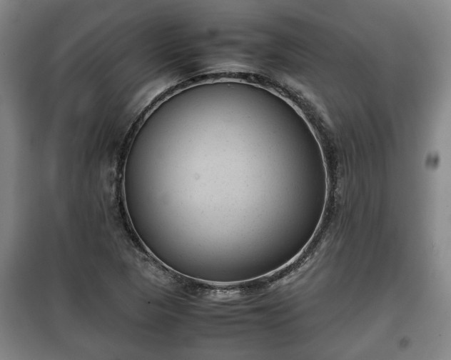 X0000100191313200806061249