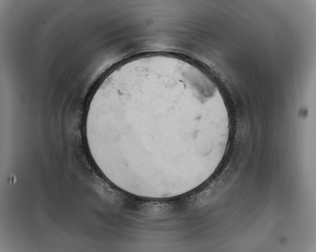 X0000100191314200806061249