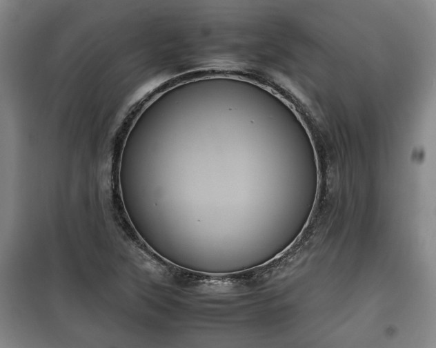 X0000100191315200806061249