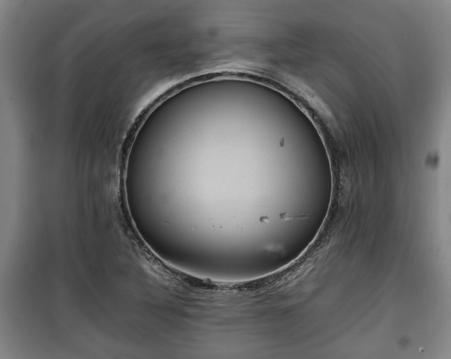 X0000100191316200806061249
