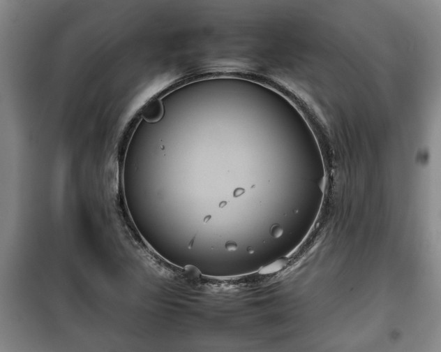X0000100191317200806061249