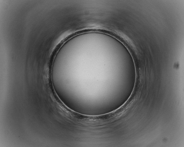 X0000100191318200806061249