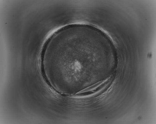 X0000100191319200806061249