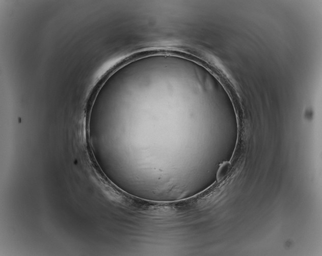 X0000100191320200806061249