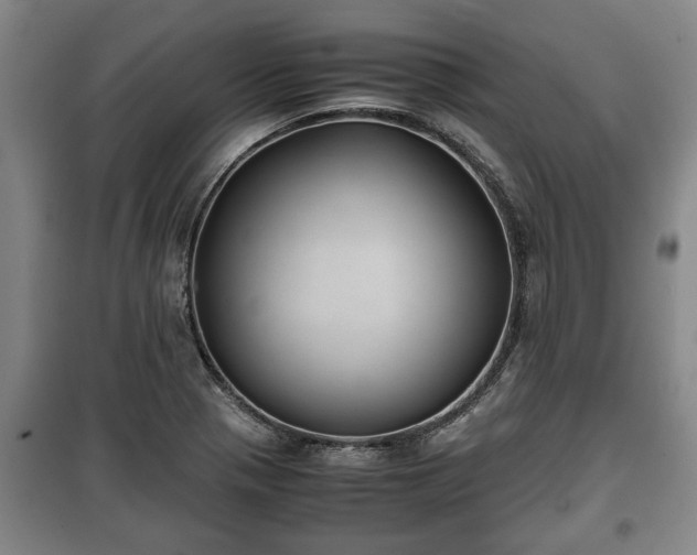 X0000100191321200806061249