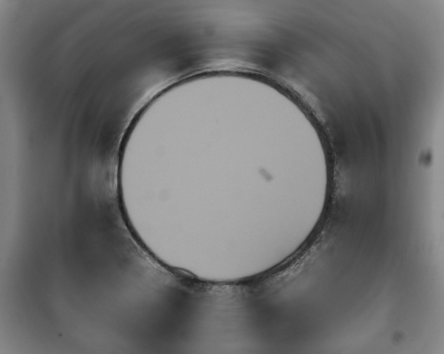 X0000100191322200806061249