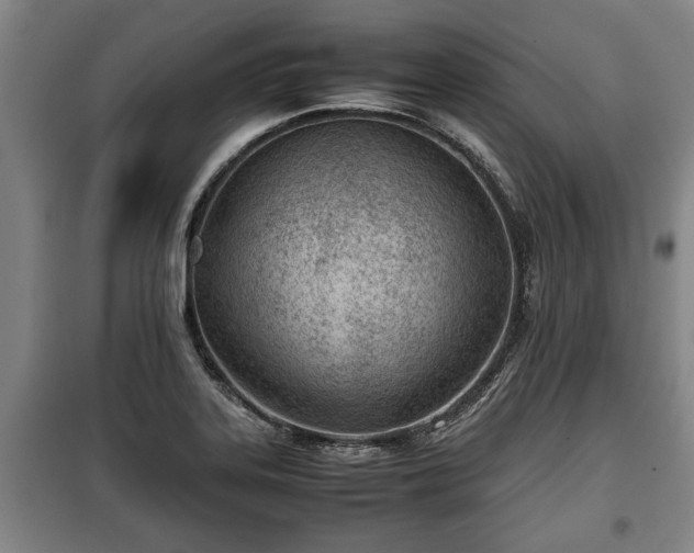 X0000100191323200806061249