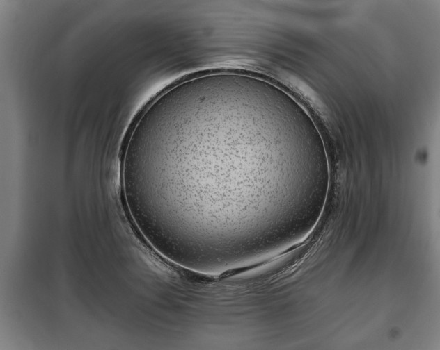 X0000100191324200806061249