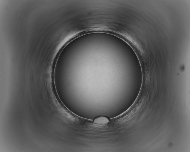 X0000100191325200806061249