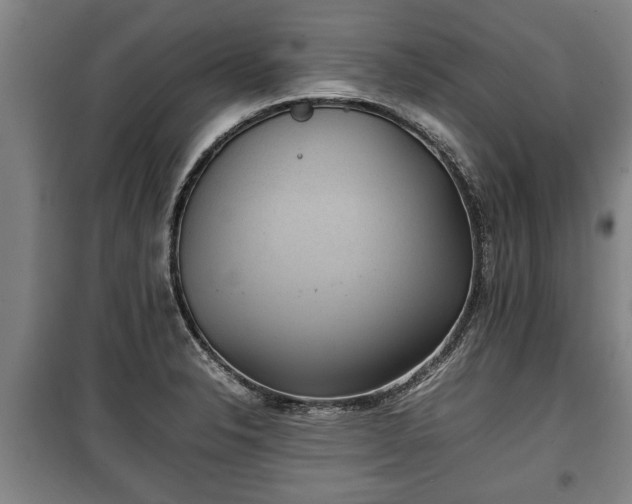 X0000100191326200806061249