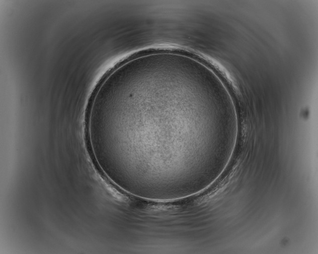 X0000100191327200806061249