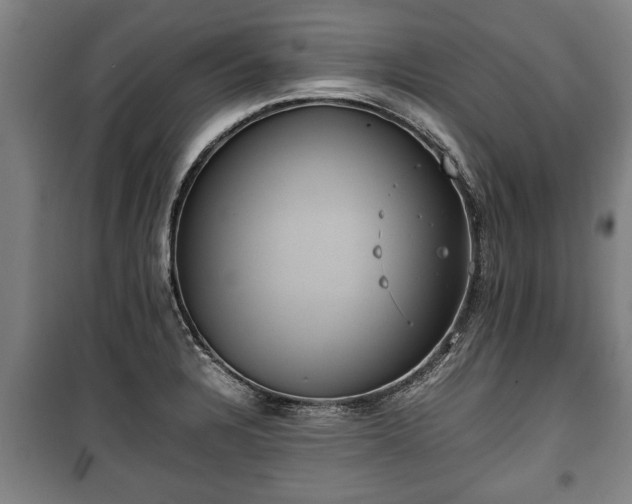 X0000100191328200806061249