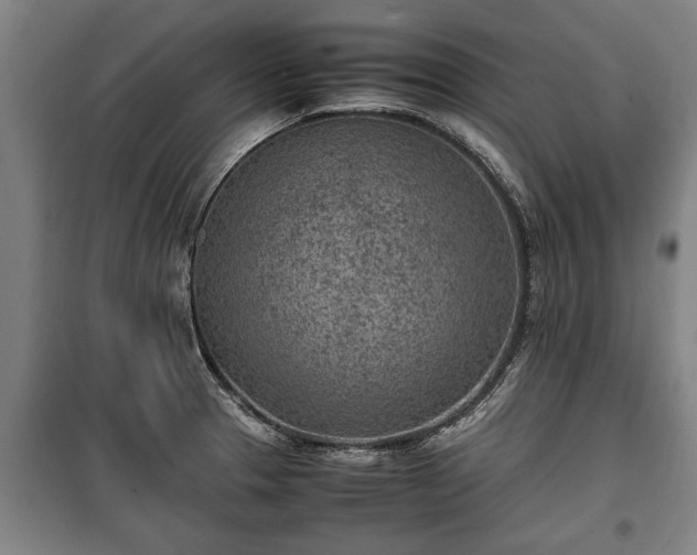 X0000100191329200806061249