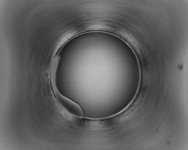 X0000100191330200806061249