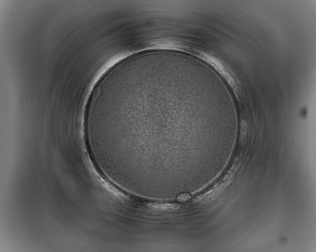 X0000100191331200806061249
