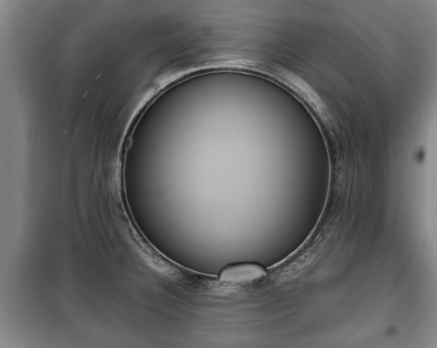 X0000100191332200806061249