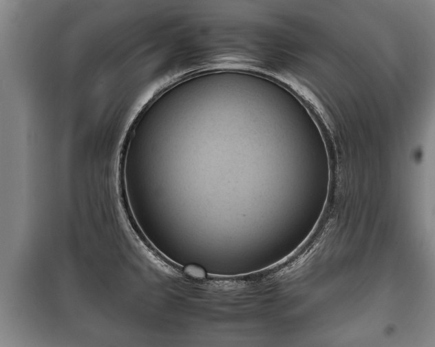 X0000100191333200806061249
