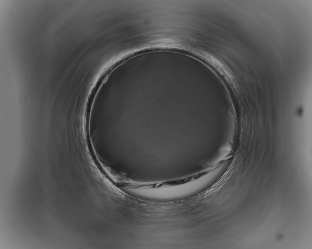 X0000100191334200806061249