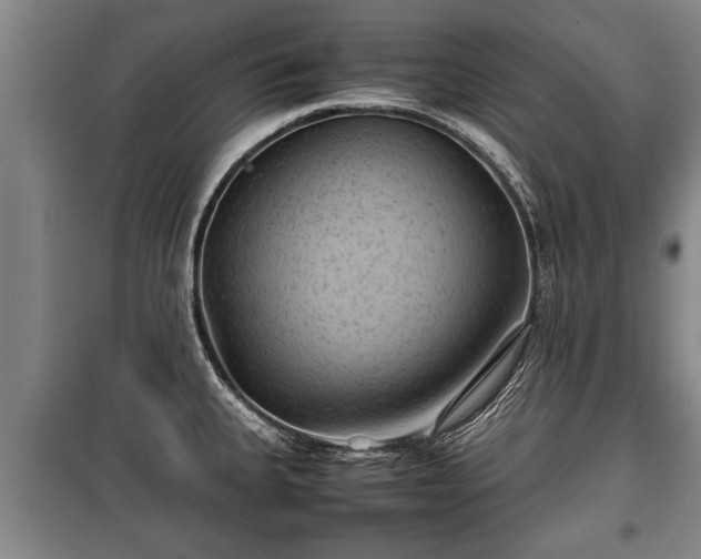 X0000100191335200806061249