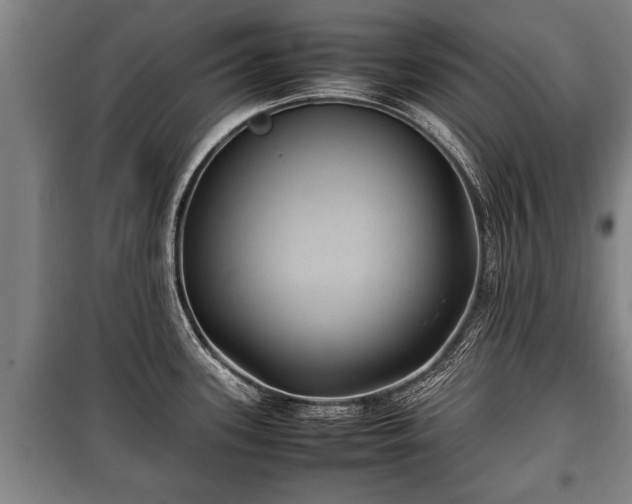 X0000100191339200806061249