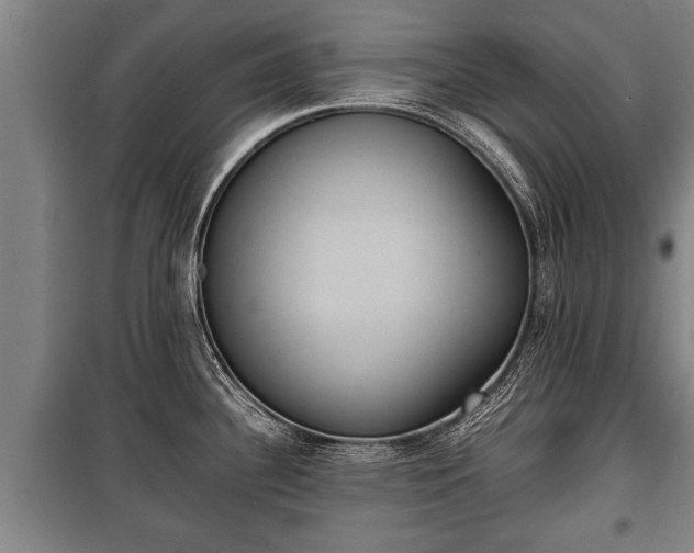 X0000100191340200806061249