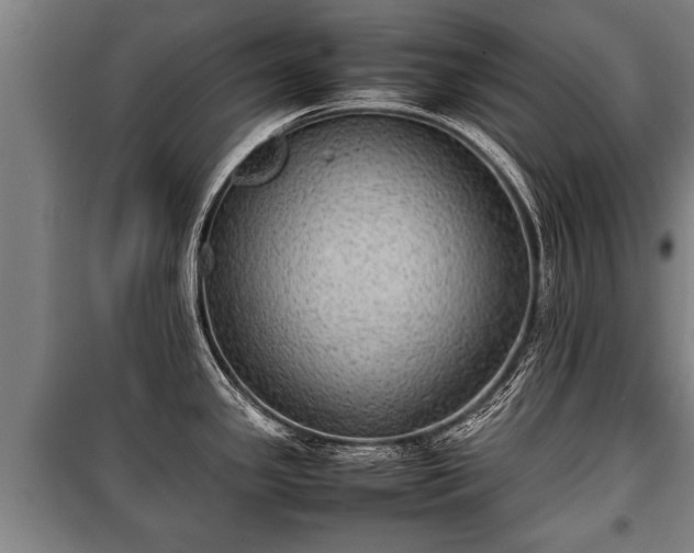 X0000100191341200806061249