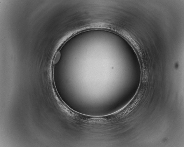 X0000100191342200806061249