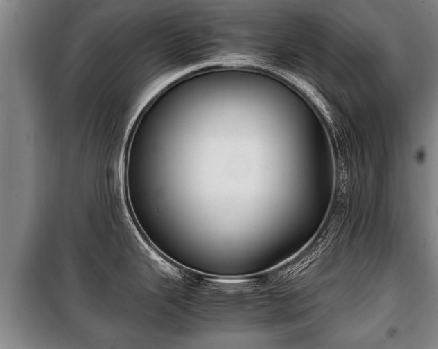 X0000100191343200806061249