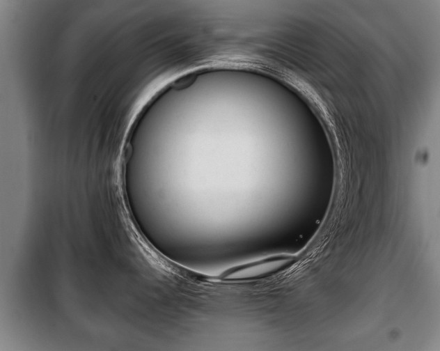 X0000100191344200806061249