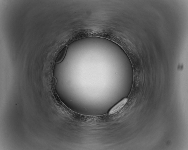 X0000100191345200806061249