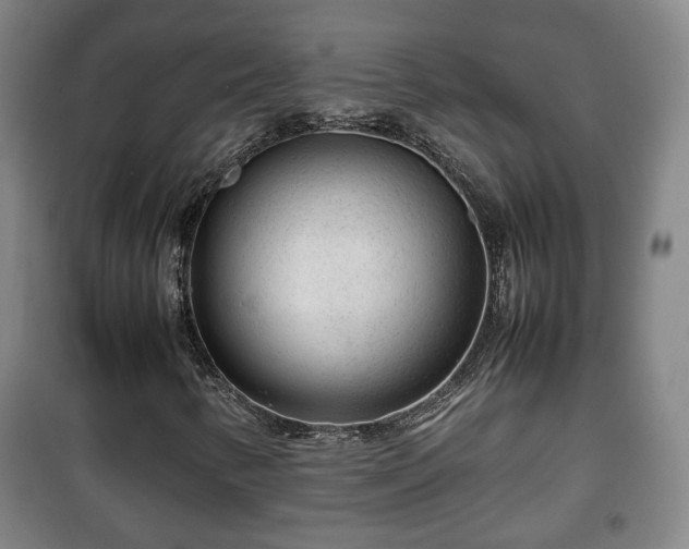 X0000100191346200806061249